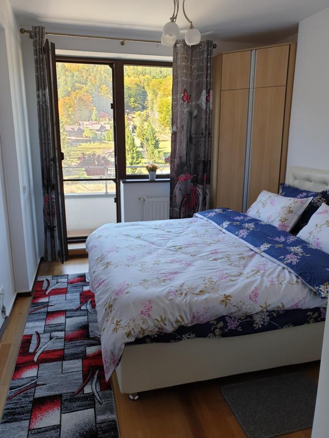시나이아 Sophie Apartament 아파트 외부 사진