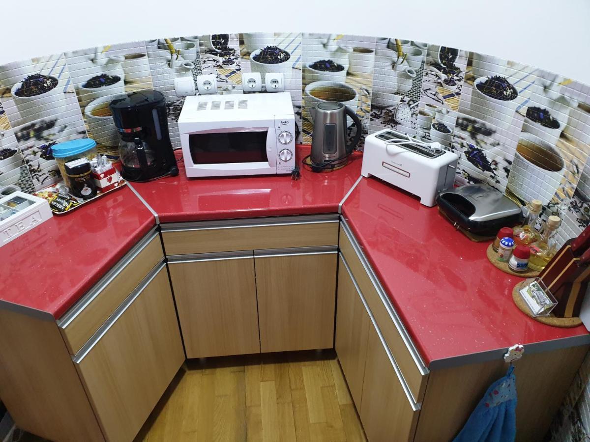 시나이아 Sophie Apartament 아파트 외부 사진