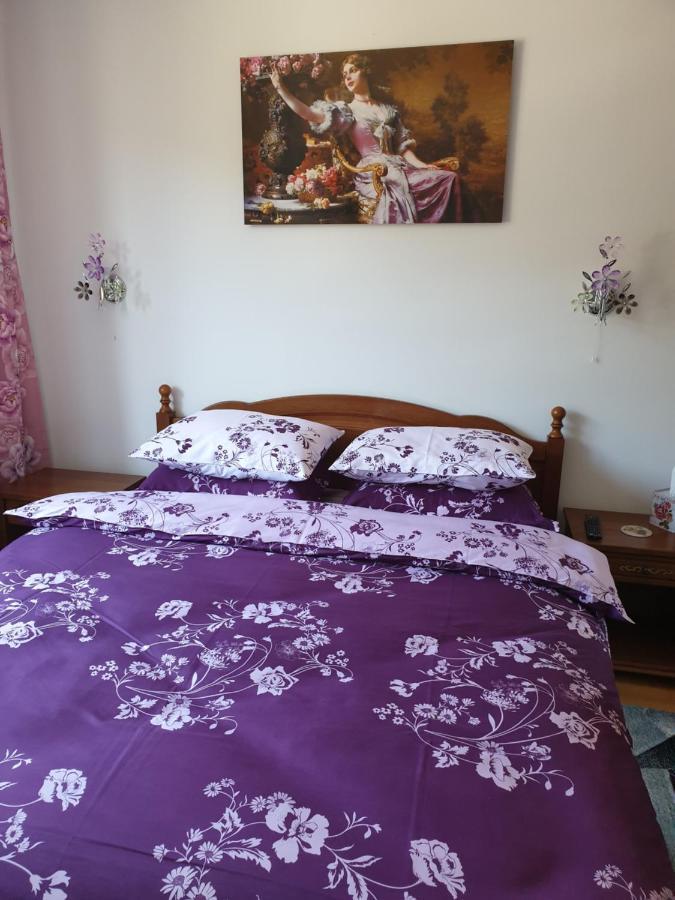 시나이아 Sophie Apartament 아파트 외부 사진