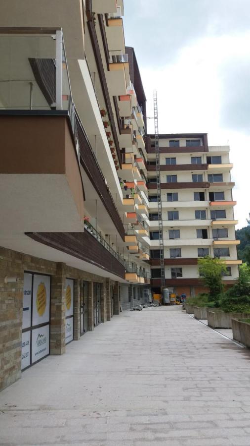 시나이아 Sophie Apartament 아파트 외부 사진
