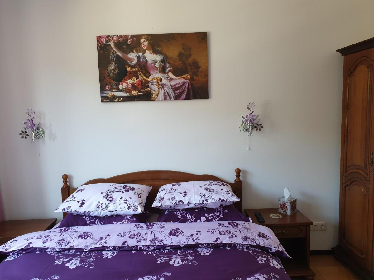 시나이아 Sophie Apartament 아파트 외부 사진