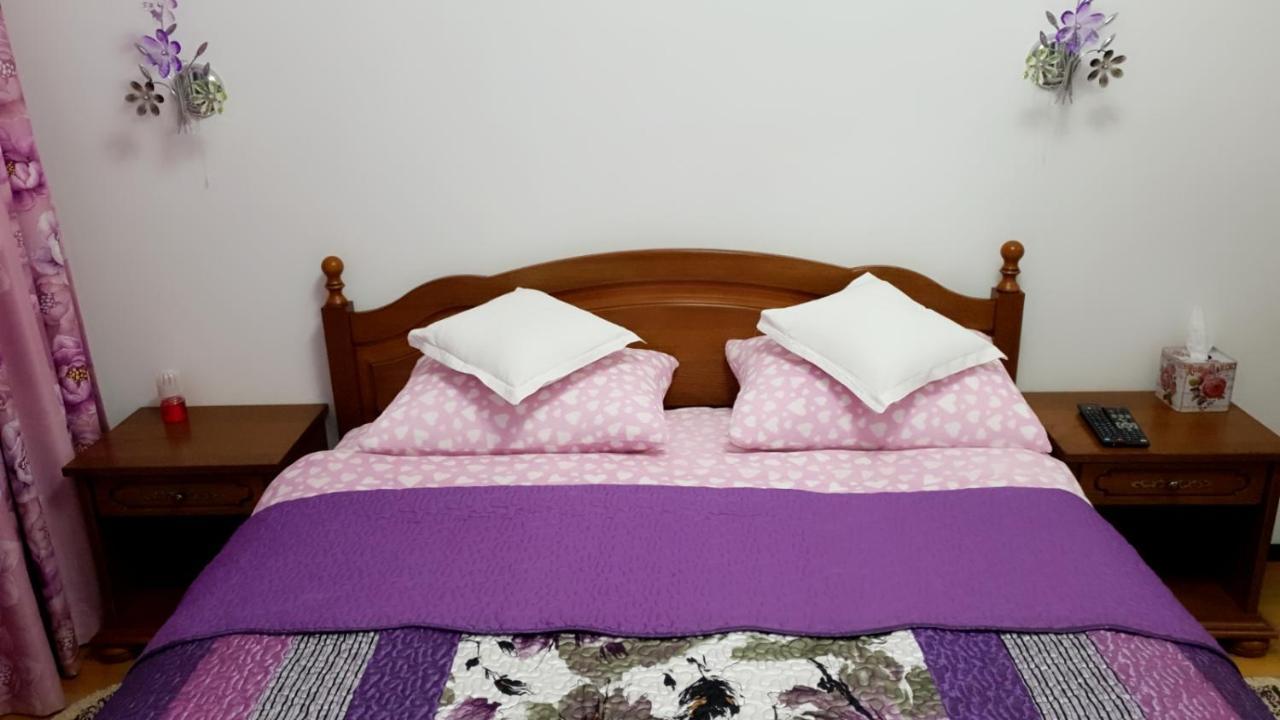 시나이아 Sophie Apartament 아파트 외부 사진