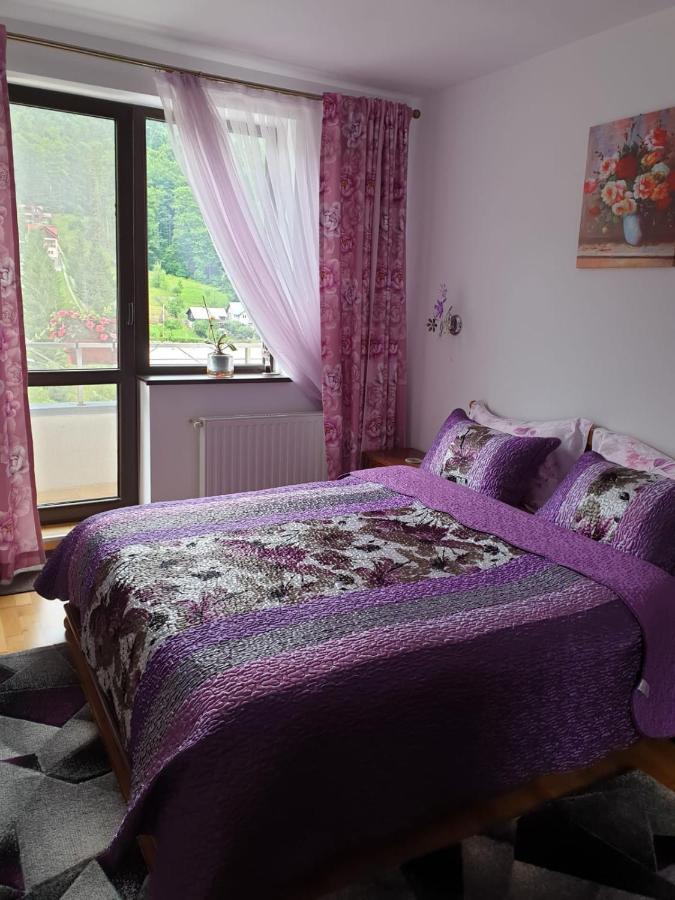 시나이아 Sophie Apartament 아파트 외부 사진