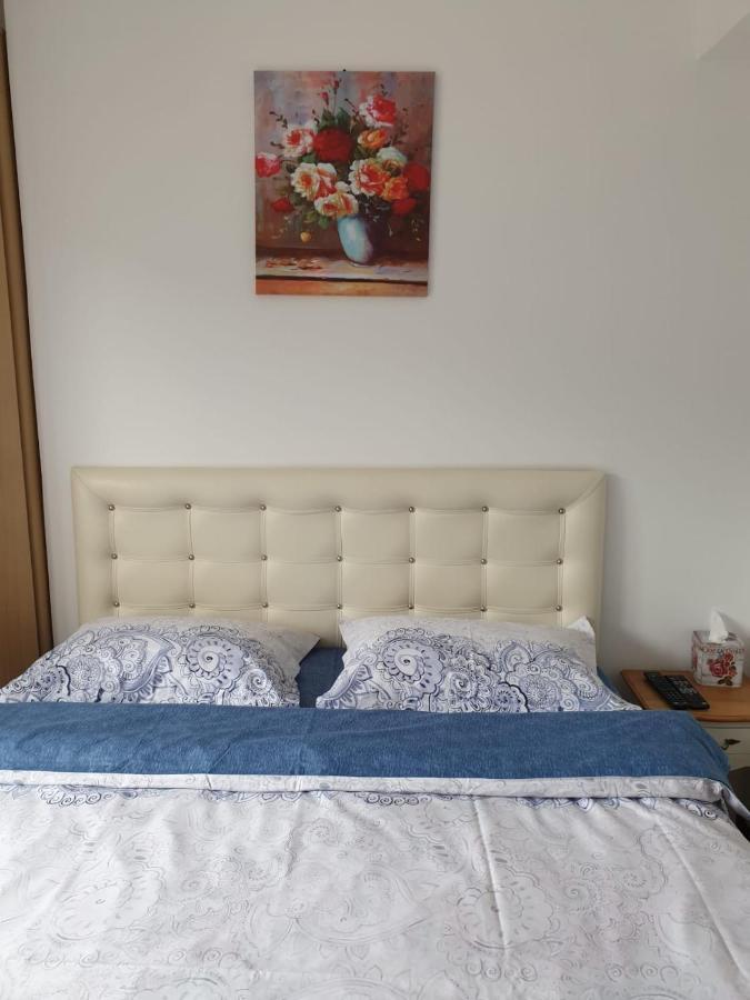 시나이아 Sophie Apartament 아파트 외부 사진