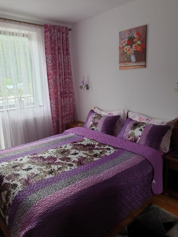 시나이아 Sophie Apartament 아파트 외부 사진