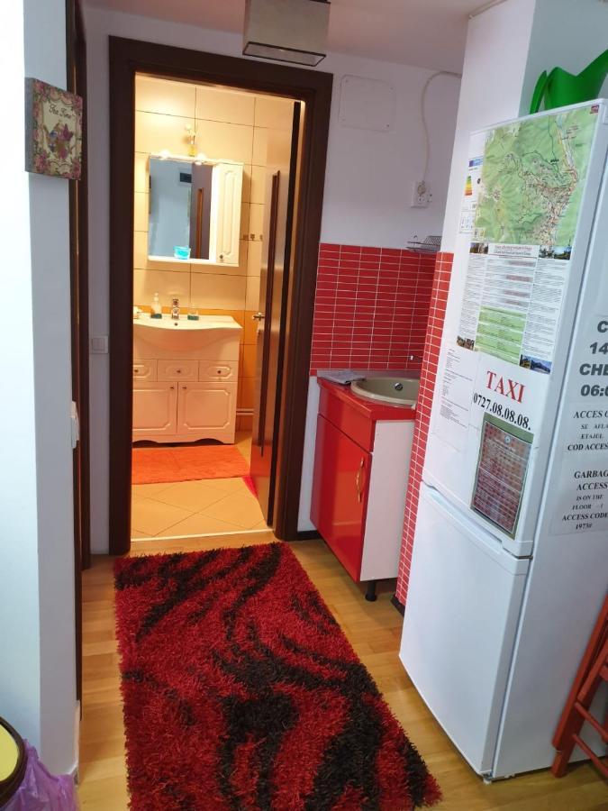 시나이아 Sophie Apartament 아파트 외부 사진