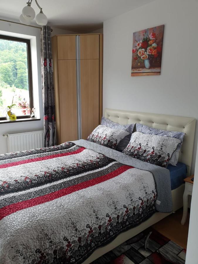 시나이아 Sophie Apartament 아파트 외부 사진