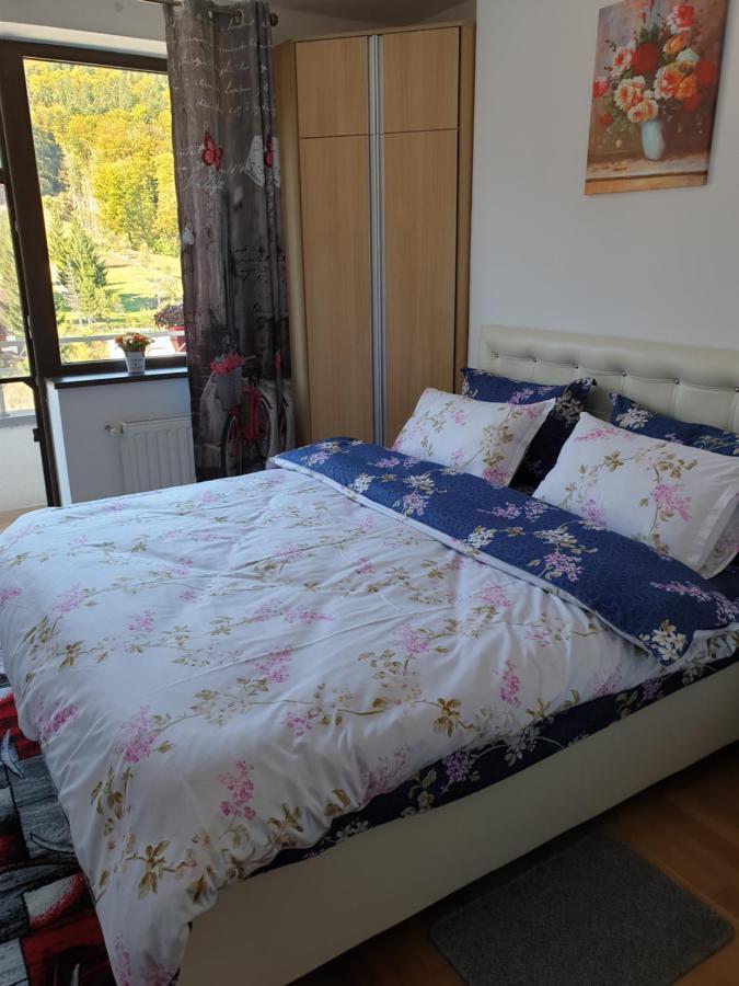 시나이아 Sophie Apartament 아파트 외부 사진