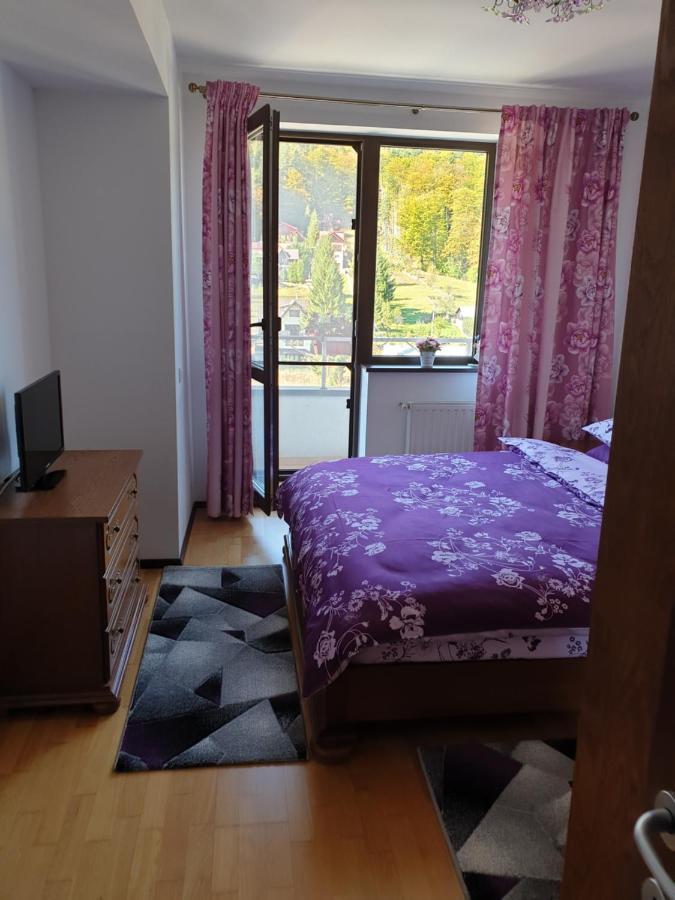 시나이아 Sophie Apartament 아파트 외부 사진