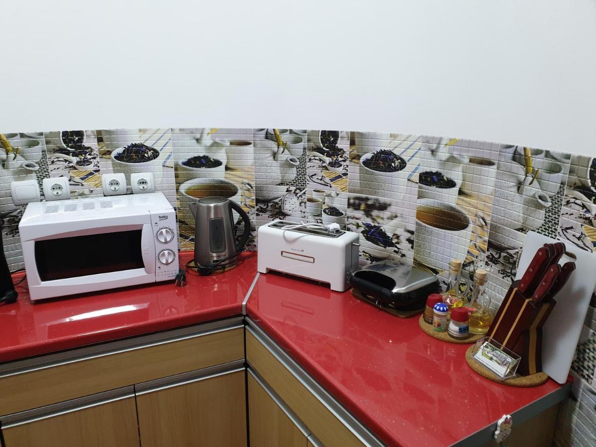 시나이아 Sophie Apartament 아파트 외부 사진