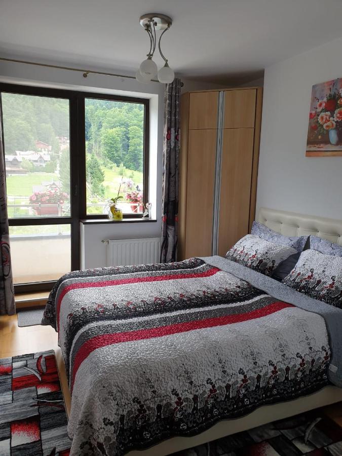 시나이아 Sophie Apartament 아파트 외부 사진