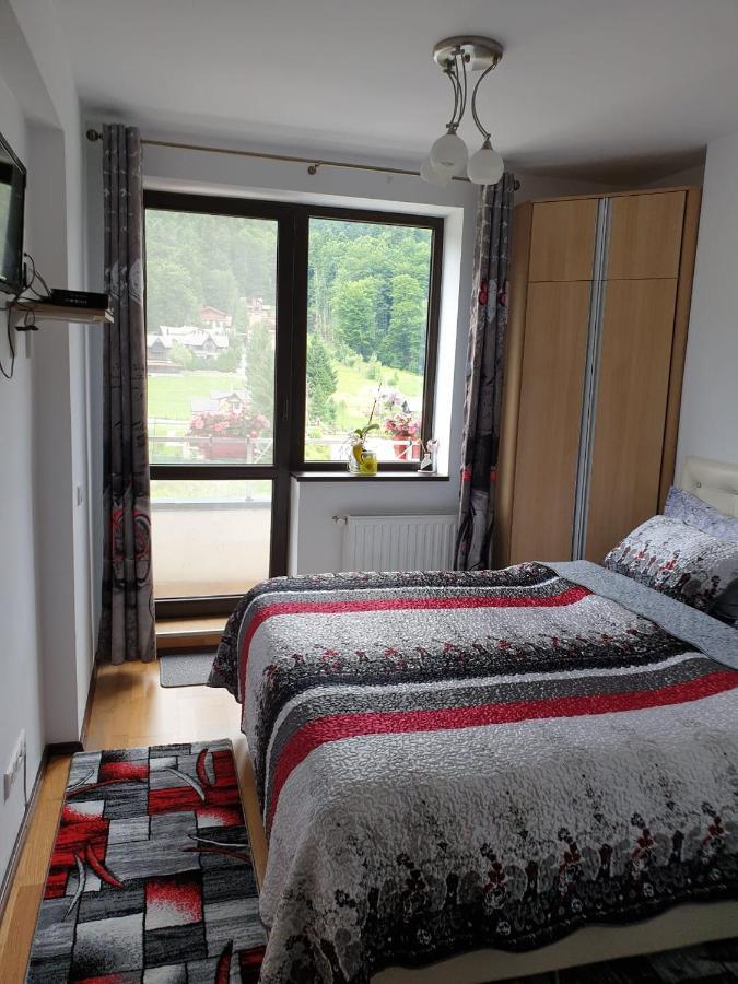 시나이아 Sophie Apartament 아파트 외부 사진