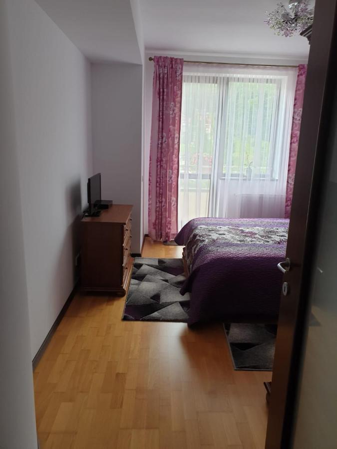 시나이아 Sophie Apartament 아파트 외부 사진