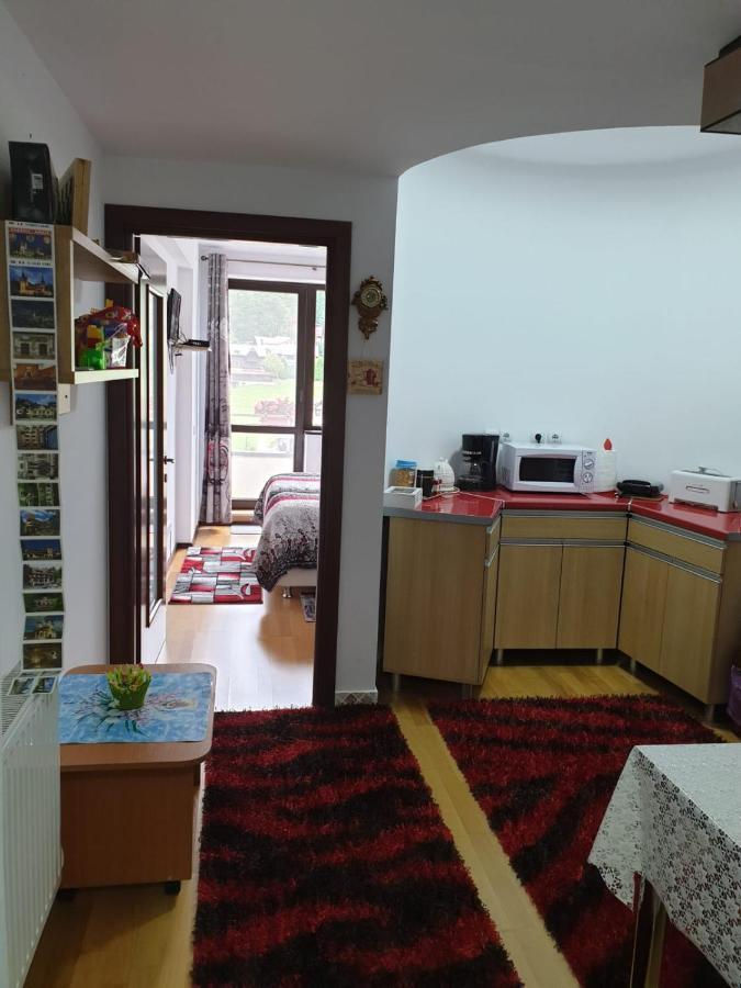 시나이아 Sophie Apartament 아파트 외부 사진