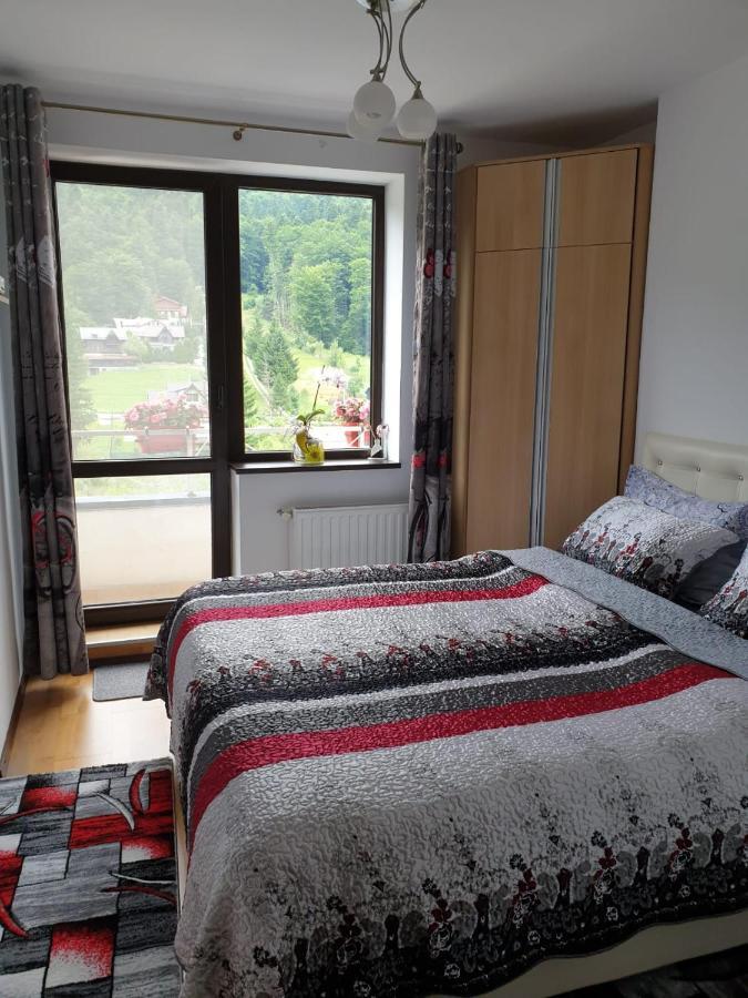 시나이아 Sophie Apartament 아파트 외부 사진