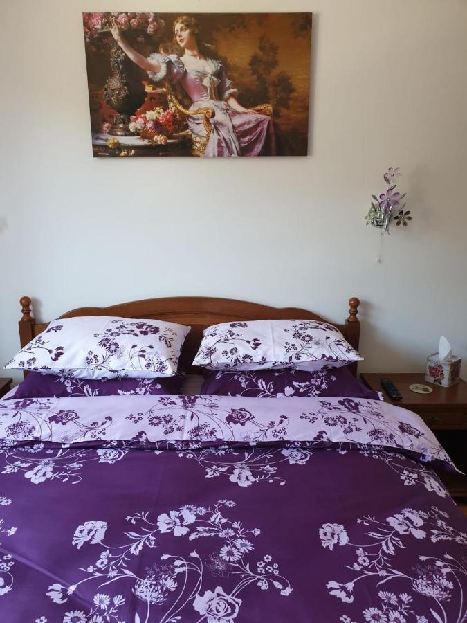 시나이아 Sophie Apartament 아파트 외부 사진