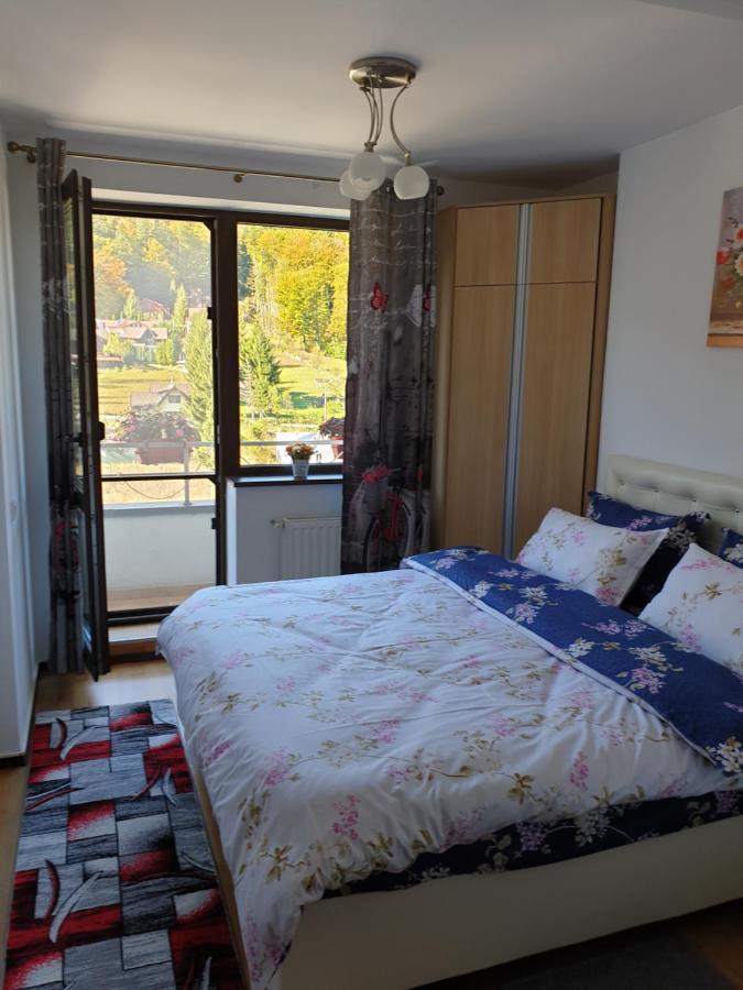 시나이아 Sophie Apartament 아파트 외부 사진