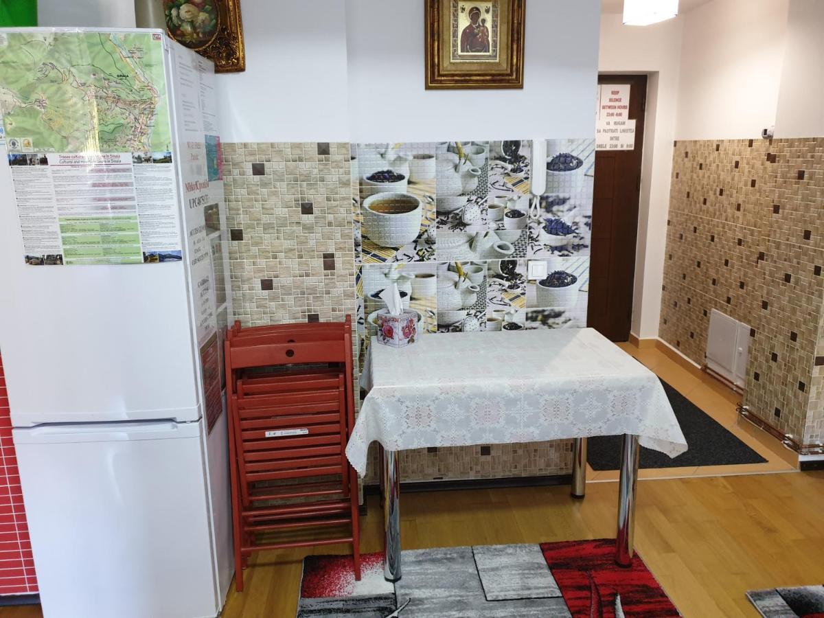 시나이아 Sophie Apartament 아파트 외부 사진