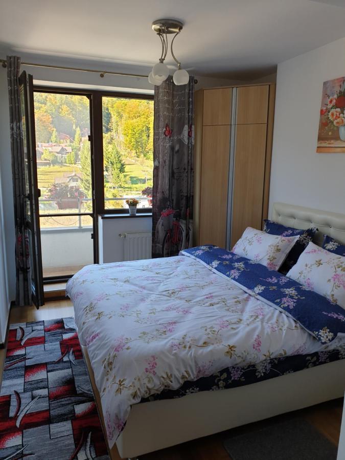 시나이아 Sophie Apartament 아파트 외부 사진