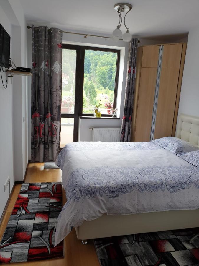 시나이아 Sophie Apartament 아파트 외부 사진