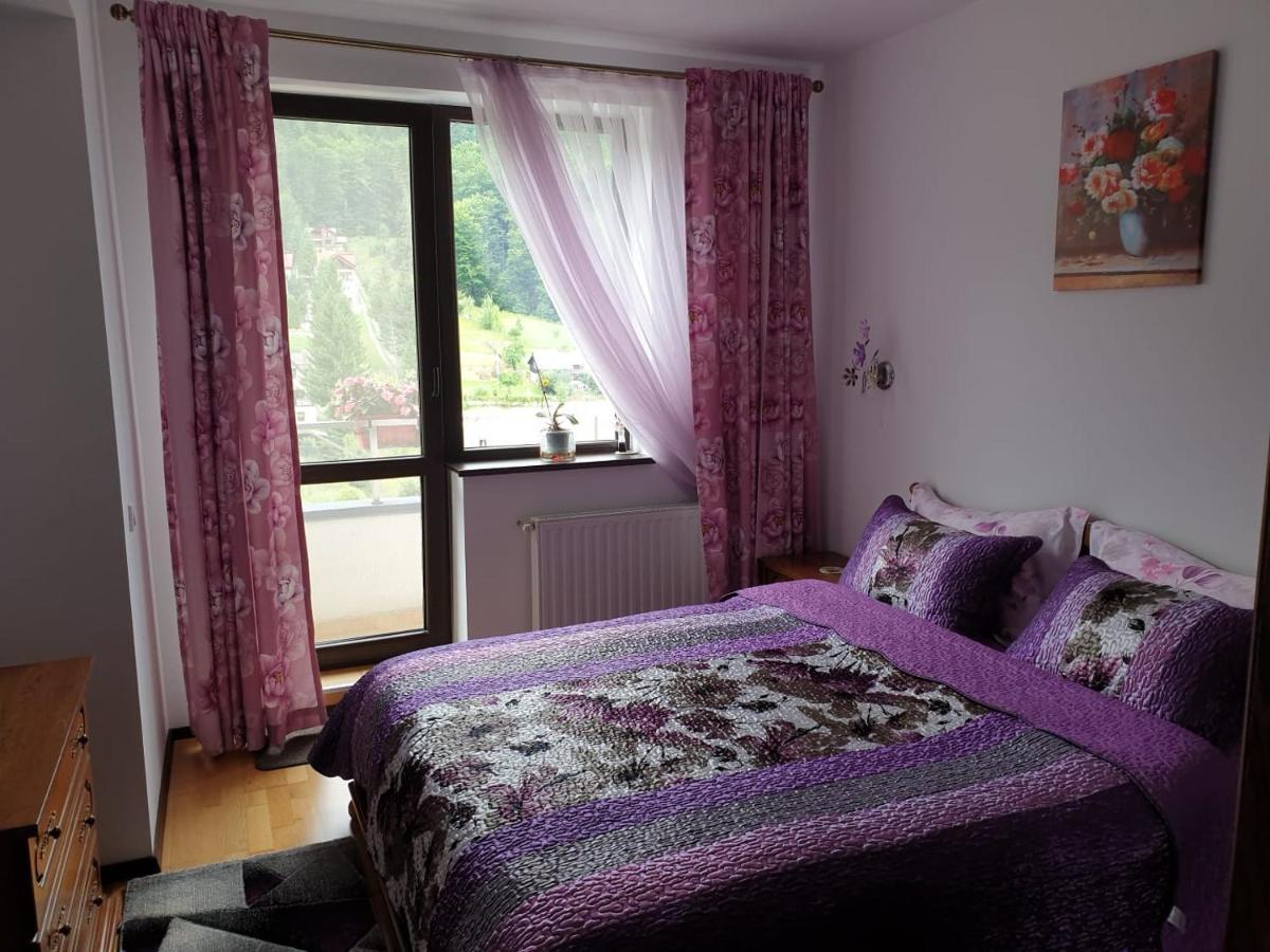 시나이아 Sophie Apartament 아파트 외부 사진